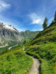 Fototapeta premium mountain trail in the alps of Italy on a summer day 