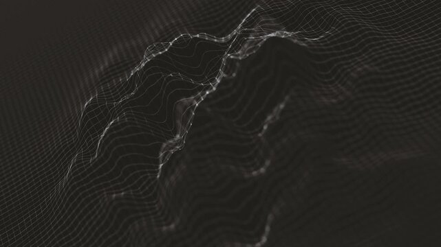 Digital Technology Flowing Mesh Looping Background
Abstract background of a black and white digital mesh with fractal surface waving in a seamless loop