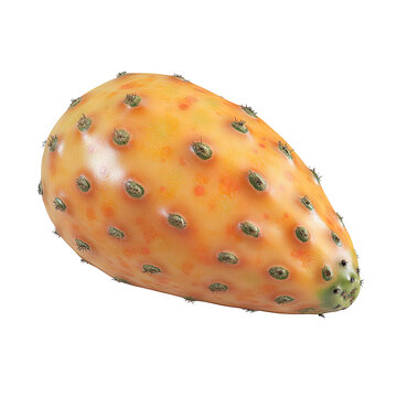 Prickly pear fruit, orange hued skin, small green spines