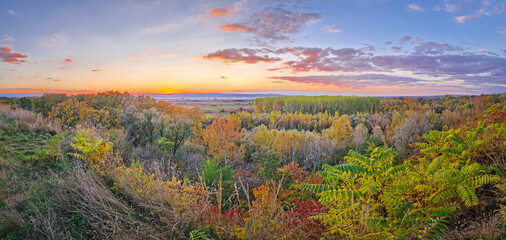 Stunning autumnal vista from a hilltop overlooking the multicolored forest canopy basking in the...