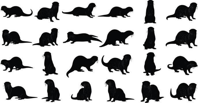 Black otter silhouette icon set isolated on white background, multiple poses and movements for wildlife design, nature illustrations, logos, and graphic projects