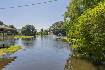 Obraz premium Calm pond with water fountains surrounded by lush greenery at The Million Years Stone Park Pattaya Thailand