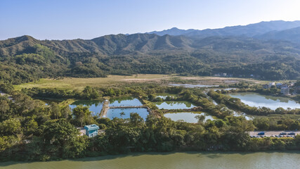 Jan 3 2026 Fish Pond Luk Keng Rural Wetland Landscape Hong Kong