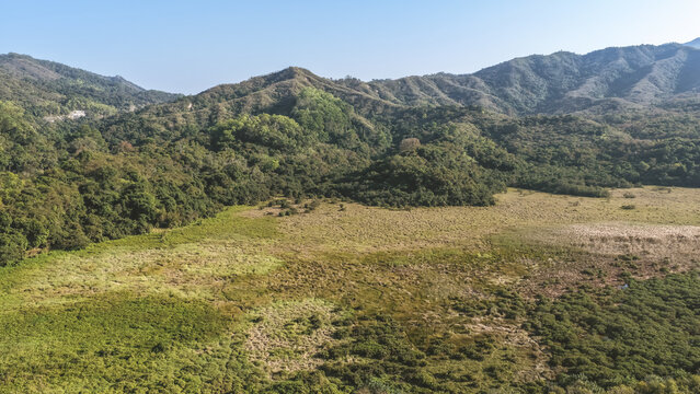 Jan 3 2026 Reed Field Luk Keng Rural Wetland Landscape Hong