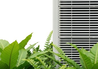 Lush Green Foliage Against Modern Building with White Wall and Window Blinds.