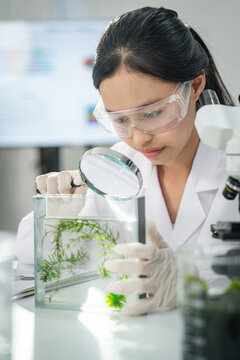 Scientist examining plant-based samples in a modern laboratory, representing sustainability, biotechnology, clean energy, and climate action concepts for ESG, green innovation, corporate communication
