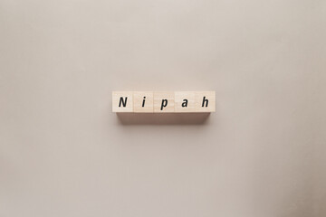 Minimalist wooden blocks spelling Nipah on a neutral background. This high-angle shot represents the emerging viral outbreak, global health security, zoonotic diseases, and medical research.