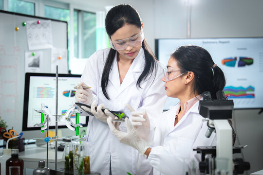 Scientists collaborating on plant biotechnology research in laboratory, highlighting teamwork, sustainability, clean energy, and climate action for ESG, green innovation, and corporate communication