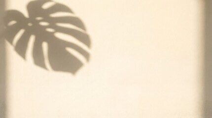 Monstera Leaf Shadow Cast On A Textured Wall With Natural Sunlight Creating A Warm Atmosphere