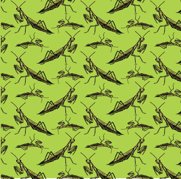 Praying Mantis Repeat Pattern Design, Seamless Print Background
