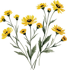 A beautiful summer bouquet of yellow marigold and daisy blossoms with green petals and leaves creates a vibrant floral nature scene isolated on a white background