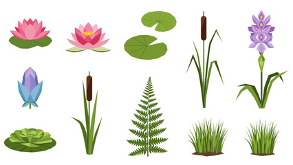 Low Poly Collection of stylized aquatic plants and wetland flora in a flat design style