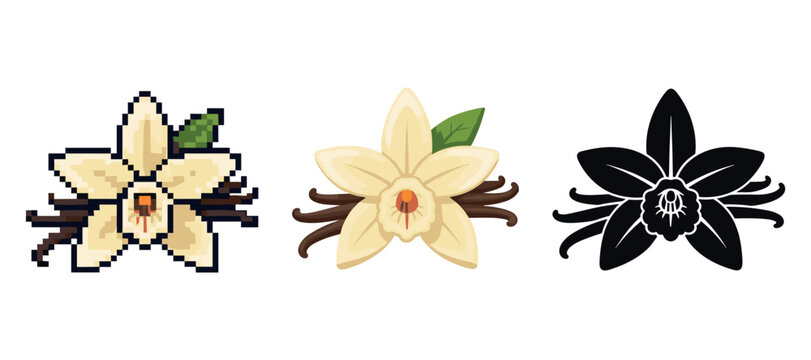 Three vanilla flower styles: pixel, realistic, silhouette illustration with leaves and pods