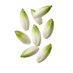 Obraz premium Fresh Endive Heads Falling Isolated on White Background
