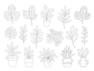 Outline drawings of various potted and cut houseplant foliage against a white background © Titi