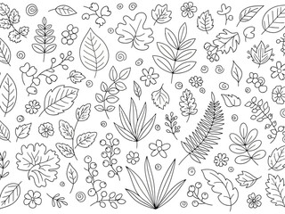 Fototapeta premium Black and white line art pattern of various stylized leaves flowers and berries