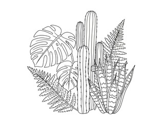 Black and white outline drawing of various potted houseplants including cacti monstera and snake plants © Titi