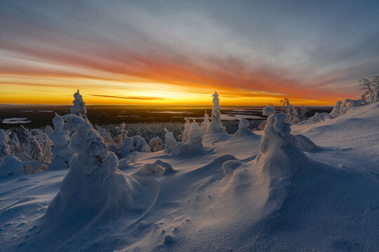 View of snow-laden trees and ground sparkle under a vibrant sunset sky, painting the horizon with fiery hues and soft, cool tones, Ruka, Lapland, Finland.