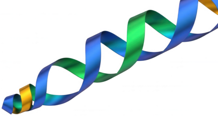 Double helix spiral ribbon in blue and green gradients with metallic reflection on transparent background PNG