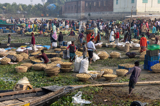 Brahmanbaria, Bangladesh - 24 January 2023: View of a bustling riverbank market, brimming with potatoes in woven baskets, amidst vendors and boats, creating a vibrant tableau of commerce and culture.