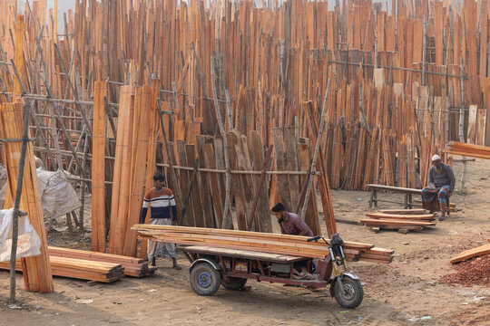 Brahmanbaria, Bangladesh - 24 January 2023: View of stacks of timber create a textured, warm landscape, as workers move lumber with a tricycle, framed by dusty ground and a hazy sky.