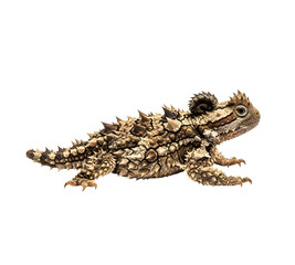 Naklejka premium A blurry image of a crocodile isolated on transparent background