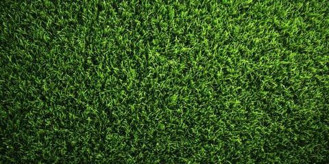 Obraz premium Lush green grass texture provides a vibrant, natural background.