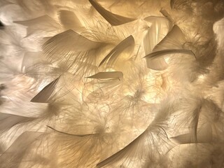 Soft abstract background created by overlapping light-colored feathers with gentle motion blur. Delicate textures and warm beige tones form an airy, flowing composition that conveys calmness, elegance