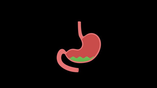 Stomach acid reflux animation with rising green fluid for health learning