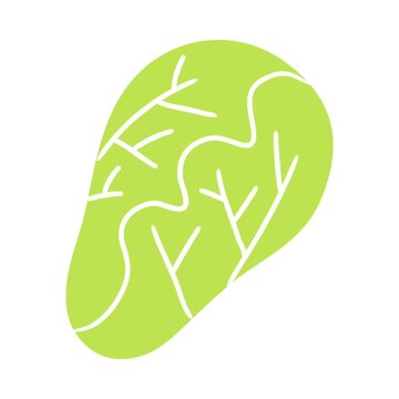 Animated cartoon Chinese cabbage with friendly expression and playful movement symbolizing healthy eating habits vegetable nutrition and wellness education