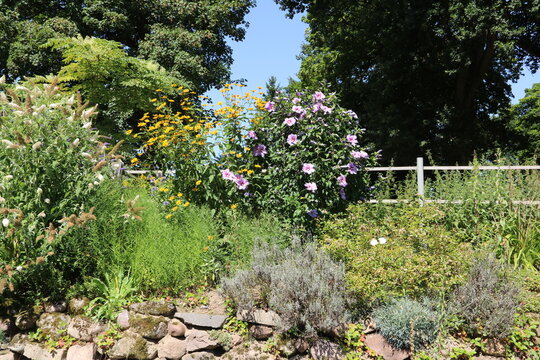 Steingarten am Hang mit frischen Blumen im Sommer und B&auml;ume
