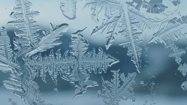 Intricate frost patterns on a blue winter background for seasonal designs