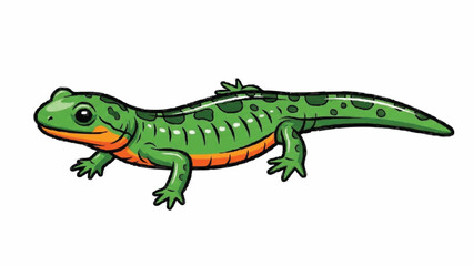 Obraz premium A vibrant cartoon illustration of a green newt with black spots and a bright orange underbelly, shown in a full-body side view on a white background.