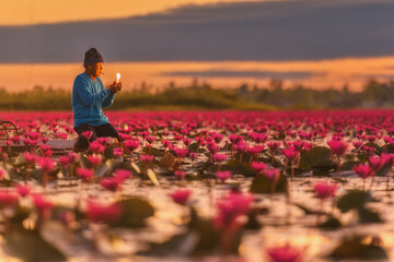 Beautifui red lotus in the lake at Udonthani province, Thailand.