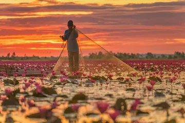 Fotobehang Lotusbloem Beautifui red lotus in the lake at Udonthani province, Thailand.  © saravut