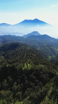 Smooth vertical aerial drone footage over lush forest revealing Arjuno Welirang mountains in the distance, surrounded by light fog under a clear blue sky. Perfect for tourism and outdoor content.