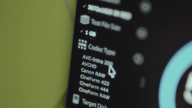 Viewing a list of video codec types available within a software interface