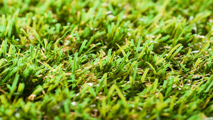 Fototapeta premium Green background, photo shows close-up of green artificial grass texture