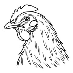 Hen portrait hand drawn vector sketch