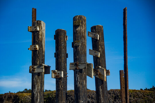 View of weathered wooden posts, adorned with rusting metal brackets, stand against a vibrant blue sky, showcasing a stark contrast of decay and color, Fort Bragg, California, United States.