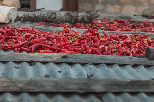 View of vibrant red chili peppers drying on a corrugated roof under the warm sun, textures contrasting against the weathered wood, Jakar, Bumthang, Bhutan.