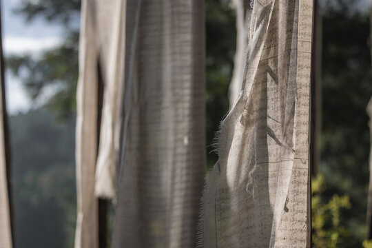 View of frayed prayer flags fluttering gently in the breeze, their worn fabric a stark contrast to the verdant hillside beyond, Jakar, Bumthang, Bhutan.