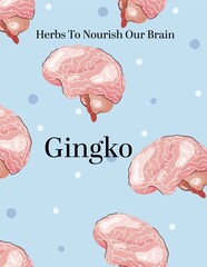 vector illustration of human brain