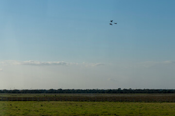 Landscape of the Donana National Park in Spain. Coastal area in southern Spain. Huelva, Andalusia, Spain.