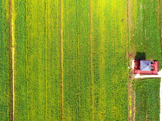 Aerial Shot of Red Barn House in Green Farmland © TranPhuoc