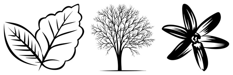 Obraz premium Three Nature Leaves, Bare Tree, and Flower in Black Art