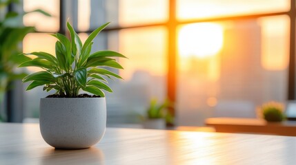 Fototapeta premium Modern office interior with urban view and sunset glow