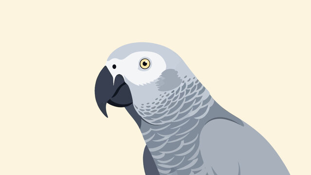 A close-up, stylized illustration of a grey parrot against a cream background