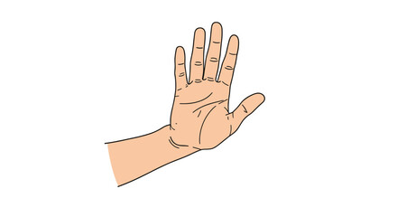 Realistic illustration of a human hand with the palm facing forward and fingers spread open against a white background.