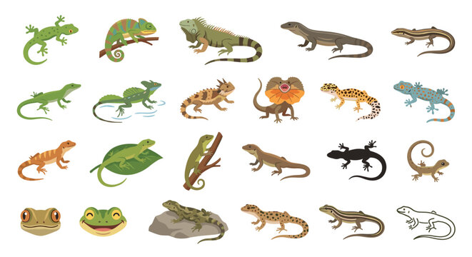 Collection of various lizard species and frog heads, depicted in a flat, cartoon style on a white background.